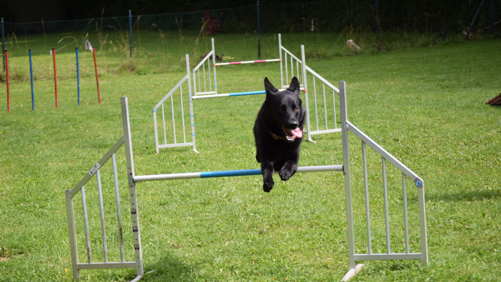 Agility