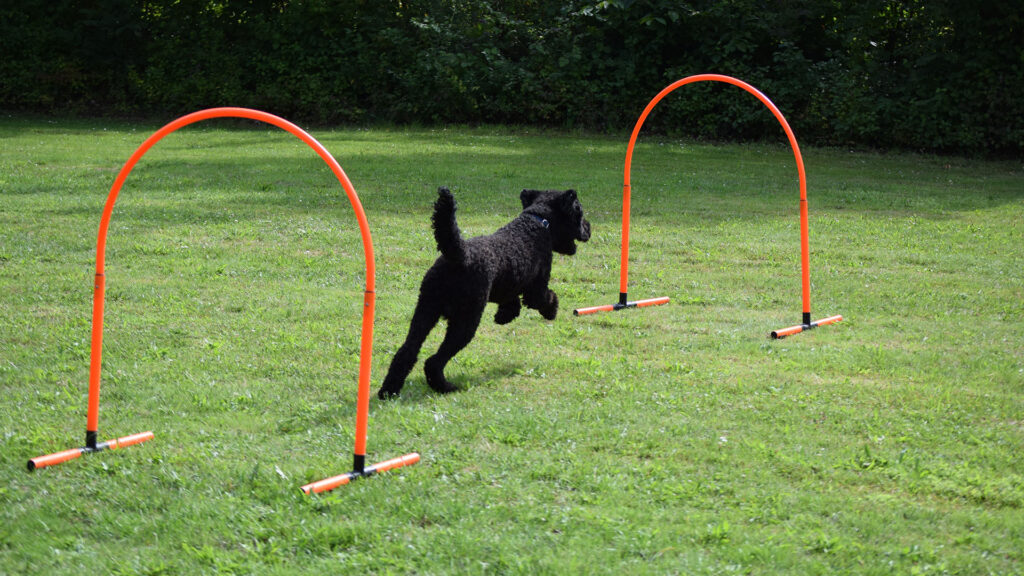 Hoopers